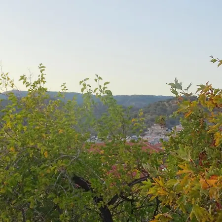 Hotel Sarissa Butik *